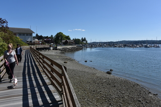 Filename=DSC_4324.JPG
Filesize=21376KiB
Dimensions=7360x4912
Date added=Sep 06, 2021 DSC_4324.JPG