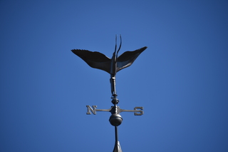 Filename=DSC_4327.JPG
Filesize=14194KiB
Dimensions=7360x4912
Date added=Sep 06, 2021 DSC_4327.JPG