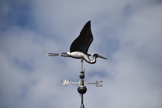 Filename=DSC_4328.JPG
Filesize=13711KiB
Dimensions=7360x4912
Date added=Sep 06, 2021 DSC_4328.JPG