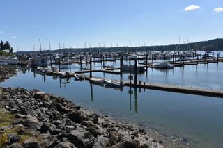 Filename=DSC_4329.JPG
Filesize=19826KiB
Dimensions=7360x4912
Date added=Sep 06, 2021 DSC_4329.JPG