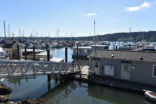 Filename=DSC_4331.JPG
Filesize=17854KiB
Dimensions=7360x4912
Date added=Sep 06, 2021 DSC_4331.JPG