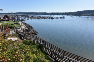 Filename=DSC_4343.JPG
Filesize=21016KiB
Dimensions=7360x4912
Date added=Sep 06, 2021 DSC_4343.JPG