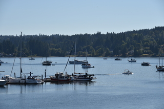 Filename=DSC_4346.JPG
Filesize=18115KiB
Dimensions=7360x4912
Date added=Sep 06, 2021 DSC_4346.JPG