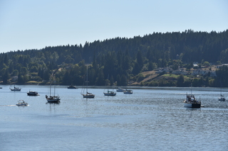 Filename=DSC_4347.JPG
Filesize=20274KiB
Dimensions=7360x4912
Date added=Sep 06, 2021 DSC_4347.JPG