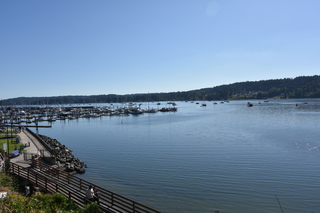 Filename=DSC_4348.JPG
Filesize=17659KiB
Dimensions=7360x4912
Date added=Sep 06, 2021 DSC_4348.JPG