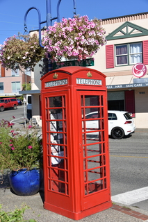 Filename=DSC_4352.JPG
Filesize=19679KiB
Dimensions=4912x7360
Date added=Sep 06, 2021 DSC_4352.JPG