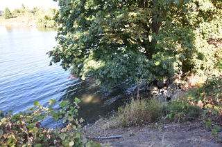 Filename=DSC_4354.JPG
Filesize=23992KiB
Dimensions=7360x4912
Date added=Sep 06, 2021 DSC_4354.JPG