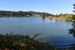 Filename=DSC_4355.JPG
Filesize=20701KiB
Dimensions=7360x4912
Date added=Sep 06, 2021 DSC_4355.JPG