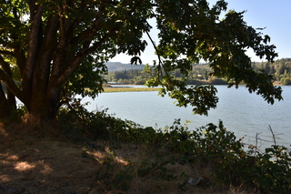 Filename=DSC_4356.JPG
Filesize=19425KiB
Dimensions=7360x4912
Date added=Sep 06, 2021 DSC_4356.JPG