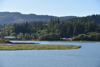 Filename=DSC_4357.JPG
Filesize=21162KiB
Dimensions=7360x4912
Date added=Sep 06, 2021 DSC_4357.JPG