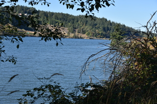 Filename=DSC_4359.JPG
Filesize=22840KiB
Dimensions=7360x4912
Date added=Sep 06, 2021 DSC_4359.JPG