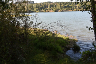 Filename=DSC_4360.JPG
Filesize=22905KiB
Dimensions=7360x4912
Date added=Sep 06, 2021 DSC_4360.JPG