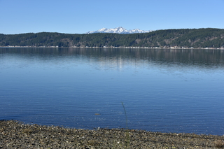 Filename=DSC_6167.JPG
Filesize=19348KiB
Dimensions=7360x4912
Date added=Feb 19, 2022 DSC_6167.JPG