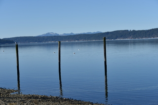 Filename=DSC_6169.JPG
Filesize=17151KiB
Dimensions=7360x4912
Date added=Feb 19, 2022 DSC_6169.JPG