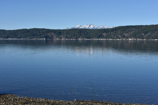 Filename=DSC_6171.JPG
Filesize=18169KiB
Dimensions=7360x4912
Date added=Feb 19, 2022 DSC_6171.JPG