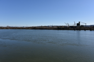 Filename=DSC_6175.JPG
Filesize=19163KiB
Dimensions=7360x4912
Date added=Feb 19, 2022 DSC_6175.JPG