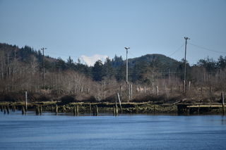 Filename=DSC_6181.JPG
Filesize=17295KiB
Dimensions=7360x4912
Date added=Feb 19, 2022 DSC_6181.JPG