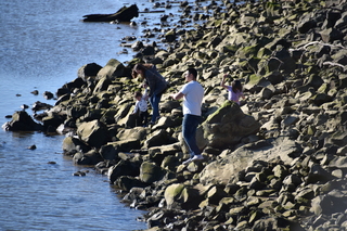 Filename=DSC_6186.JPG
Filesize=20268KiB
Dimensions=7360x4912
Date added=Feb 19, 2022 DSC_6186.JPG