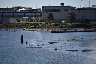 Filename=DSC_6190.JPG
Filesize=18381KiB
Dimensions=7360x4912
Date added=Feb 19, 2022 DSC_6190.JPG