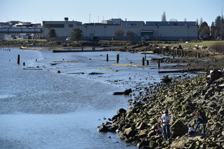 Filename=DSC_6191.JPG
Filesize=21485KiB
Dimensions=7360x4912
Date added=Feb 19, 2022 DSC_6191.JPG