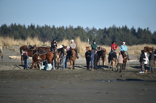 Filename=DSC_6193.JPG
Filesize=17145KiB
Dimensions=7360x4912
Date added=Feb 19, 2022 DSC_6193.JPG