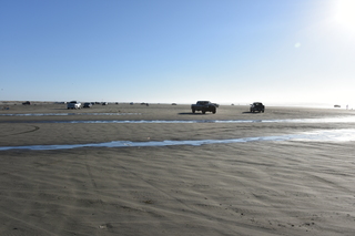 Filename=DSC_6195.JPG
Filesize=18492KiB
Dimensions=7360x4912
Date added=Feb 19, 2022 DSC_6195.JPG