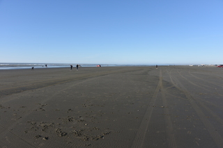 Filename=DSC_6203.JPG
Filesize=16601KiB
Dimensions=7360x4912
Date added=Feb 19, 2022 DSC_6203.JPG