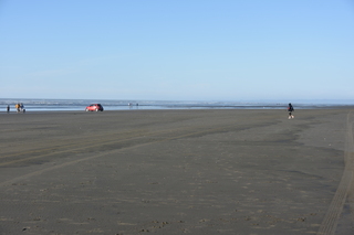 Filename=DSC_6204.JPG
Filesize=15187KiB
Dimensions=7360x4912
Date added=Feb 19, 2022 DSC_6204.JPG