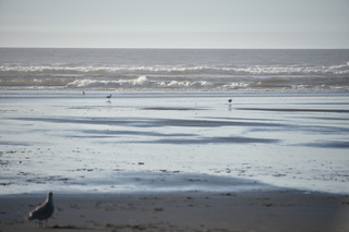 Filename=DSC_6207.JPG
Filesize=14947KiB
Dimensions=7360x4912
Date added=Feb 19, 2022 DSC_6207.JPG