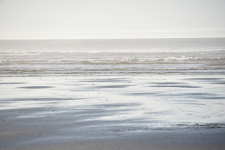 Filename=DSC_6209.JPG
Filesize=14846KiB
Dimensions=7360x4912
Date added=Feb 19, 2022 DSC_6209.JPG