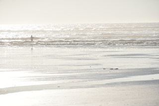 Filename=DSC_6210.JPG
Filesize=15375KiB
Dimensions=7360x4912
Date added=Feb 19, 2022 DSC_6210.JPG