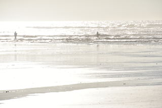 Filename=DSC_6211.JPG
Filesize=14918KiB
Dimensions=7360x4912
Date added=Feb 19, 2022 DSC_6211.JPG