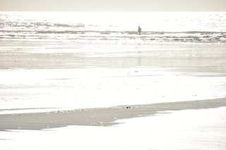 Filename=DSC_6212.JPG
Filesize=12473KiB
Dimensions=7360x4912
Date added=Feb 19, 2022 DSC_6212.JPG