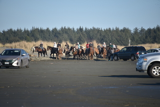 Filename=DSC_6213.JPG
Filesize=16070KiB
Dimensions=7360x4912
Date added=Feb 19, 2022 DSC_6213.JPG