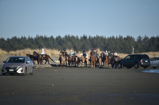 Filename=DSC_6214.JPG
Filesize=15771KiB
Dimensions=7360x4912
Date added=Feb 19, 2022 DSC_6214.JPG