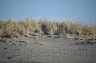 Filename=DSC_6215.JPG
Filesize=18339KiB
Dimensions=7360x4912
Date added=Feb 19, 2022 DSC_6215.JPG