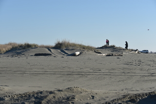 Filename=DSC_6216.JPG
Filesize=16634KiB
Dimensions=7360x4912
Date added=Feb 19, 2022 DSC_6216.JPG