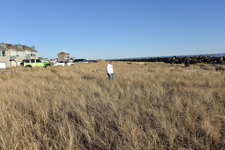 Filename=DSC_6218.JPG
Filesize=25031KiB
Dimensions=7360x4912
Date added=Feb 19, 2022 DSC_6218.JPG