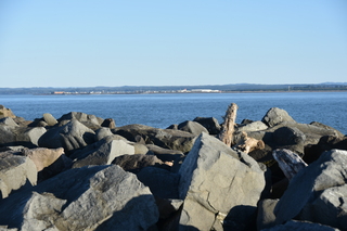 Filename=DSC_6224.JPG
Filesize=15995KiB
Dimensions=7360x4912
Date added=Feb 19, 2022 DSC_6224.JPG