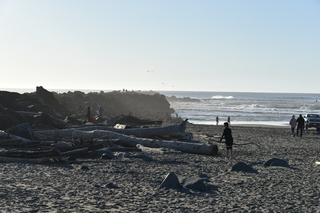 Filename=DSC_6228.JPG
Filesize=17885KiB
Dimensions=7360x4912
Date added=Feb 19, 2022 DSC_6228.JPG