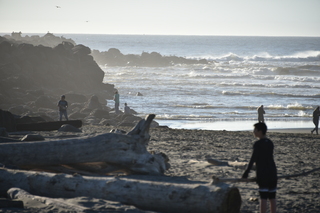 Filename=DSC_6229.JPG
Filesize=15774KiB
Dimensions=7360x4912
Date added=Feb 19, 2022 DSC_6229.JPG