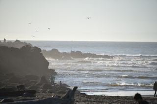 Filename=DSC_6230.JPG
Filesize=14812KiB
Dimensions=7360x4912
Date added=Feb 19, 2022 DSC_6230.JPG