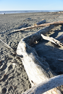 Filename=DSC_6235.JPG
Filesize=19194KiB
Dimensions=4912x7360
Date added=Feb 19, 2022 DSC_6235.JPG