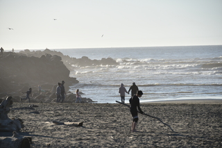 Filename=DSC_6236.JPG
Filesize=16856KiB
Dimensions=7360x4912
Date added=Feb 19, 2022 DSC_6236.JPG