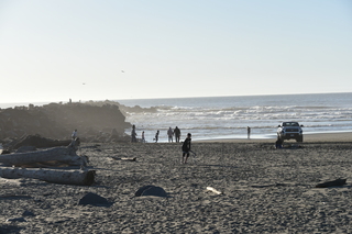 Filename=DSC_6237.JPG
Filesize=18501KiB
Dimensions=7360x4912
Date added=Feb 19, 2022 DSC_6237.JPG