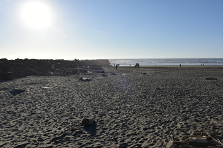 Filename=DSC_6238.JPG
Filesize=19908KiB
Dimensions=7360x4912
Date added=Feb 19, 2022 DSC_6238.JPG