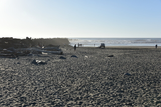 Filename=DSC_6239.JPG
Filesize=20526KiB
Dimensions=7360x4912
Date added=Feb 19, 2022 DSC_6239.JPG