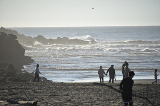 Filename=DSC_6240.JPG
Filesize=15709KiB
Dimensions=7360x4912
Date added=Feb 19, 2022 DSC_6240.JPG