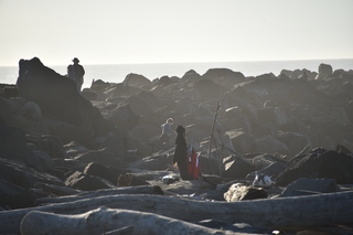 Filename=DSC_6242.JPG
Filesize=14213KiB
Dimensions=7360x4912
Date added=Feb 19, 2022 DSC_6242.JPG