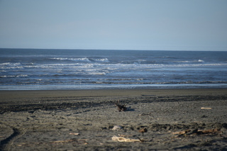 Filename=DSC_6246.JPG
Filesize=16472KiB
Dimensions=7360x4912
Date added=Feb 19, 2022 DSC_6246.JPG